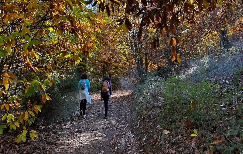 Arroyo del Quejigo
