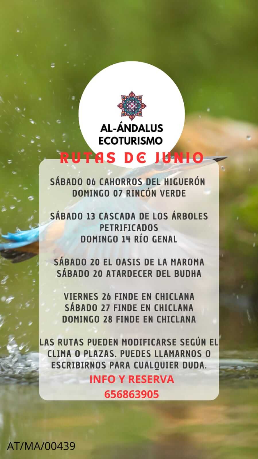 Al Andalus Julio